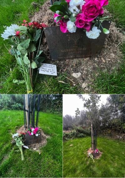 Flowers Left at the Queens Green Canopy Tree in the Community Park